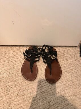 Steve Madden Black Strappy Gladiator Sandals with Gold Buckles